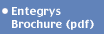 Entegrys&nbsp;Brochure
