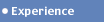 Experience
