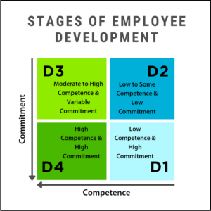 stages of employee development
